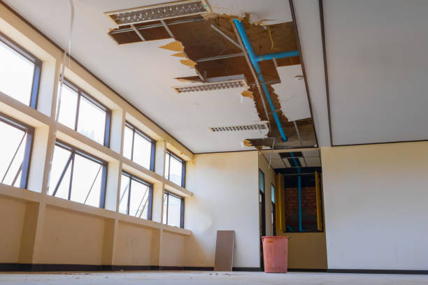 Best Flooded house restoration  in Harpersville, AL