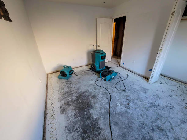 Local water damage restoration in AL