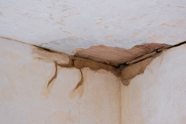 Best Water damage cleanup near me  in Harpersville, AL