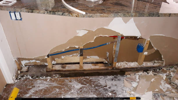 Best Fire Damage Restoration  in Harpersville, AL