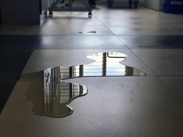 Reliable AL Water damage restoration Solutions