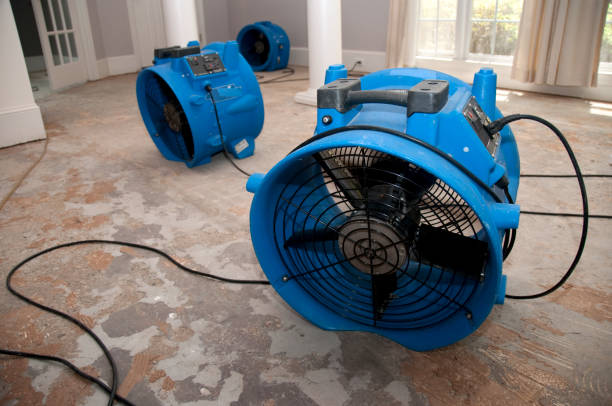 Best Flood restoration services  in Harpersville, AL