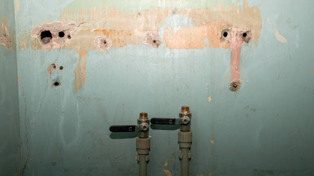 Best Flood restoration services  in Harpersville, AL