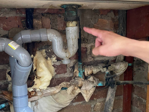 Best Professional water damage repair  in Harpersville, AL