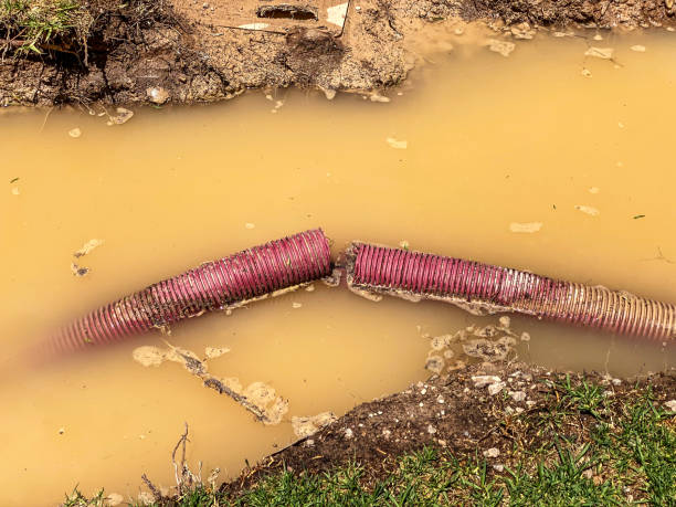Best 24/7 water damage repair  in Harpersville, AL