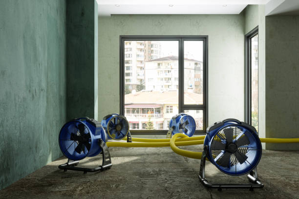 Best Local water damage restoration  in Harpersville, AL